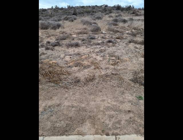 LAND FOR SALE IN WELGEDAAN ESTATE